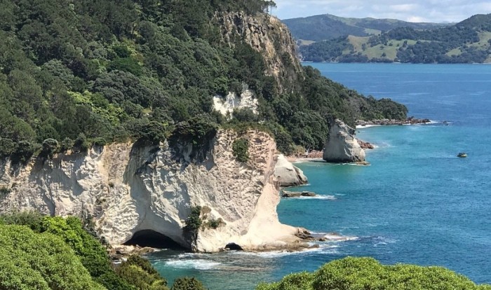 紐西蘭北島美食